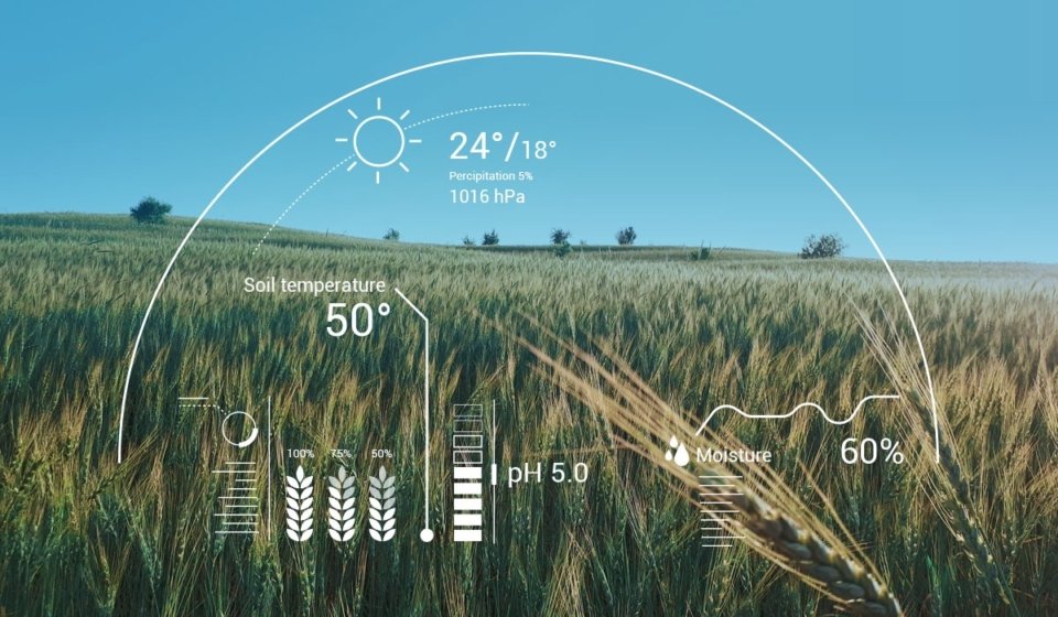 AI_and-Satellite-Monitoring-Powering-Future-Agriculture